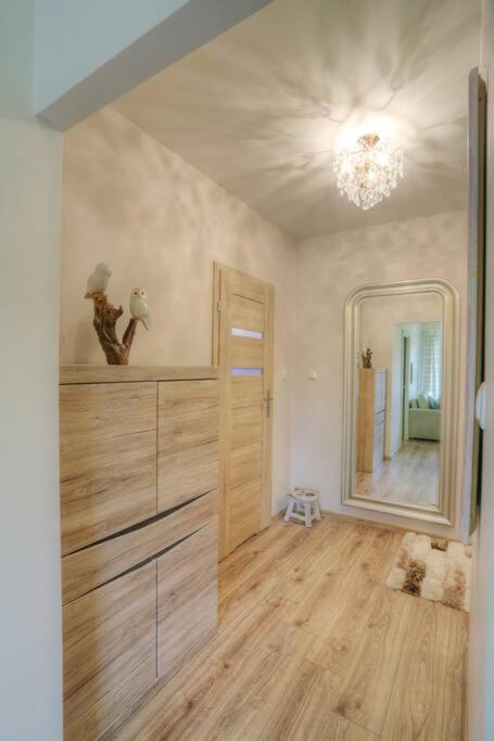 Ekskluzywny Apartament W Centrum Z Balkonem I Parkingiem 克拉科夫 外观 照片